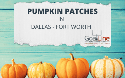 Pumpkin Patches in Dallas – Fort Worth!