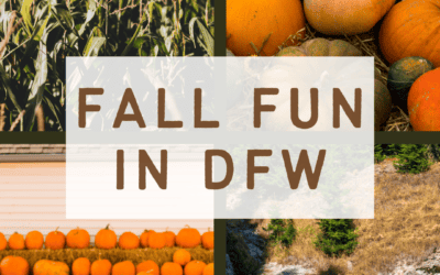 🍂 FALL FUN IN DFW 🍂