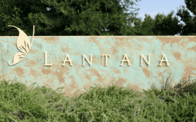Community Spotlight: Lantana