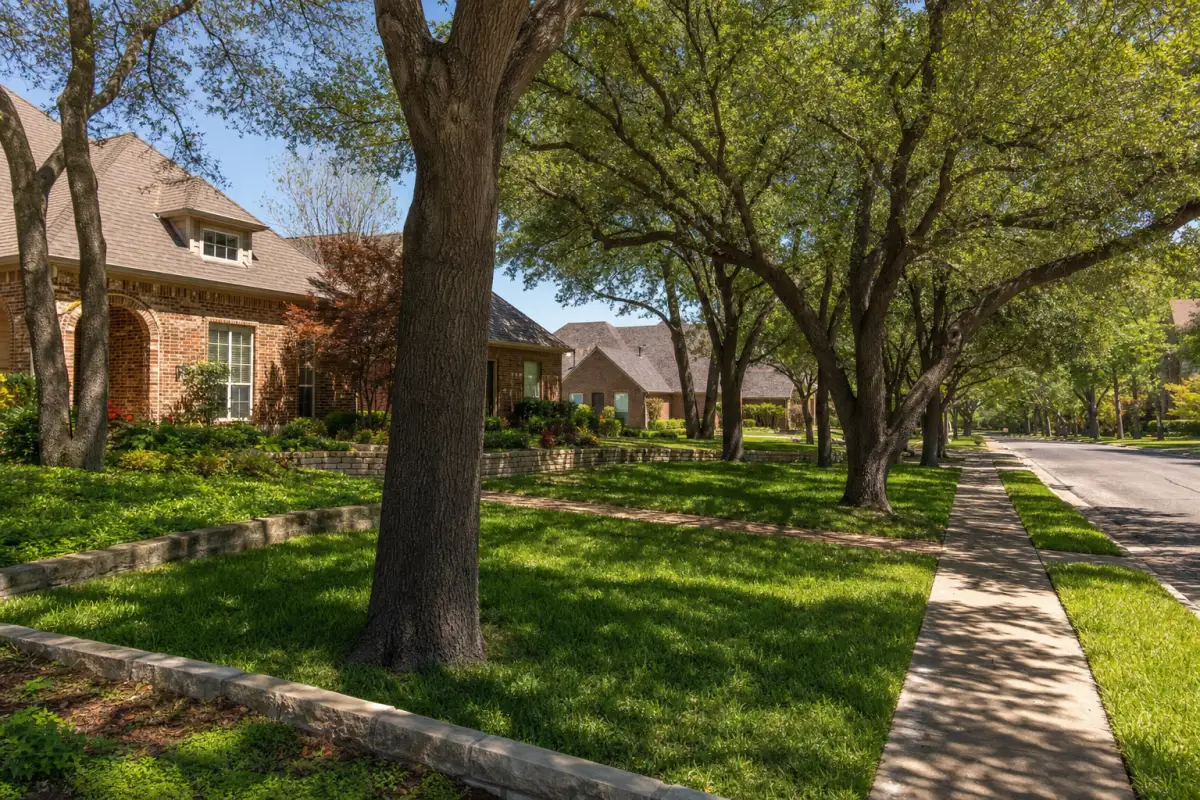 A residential street lined with brick houses and mature oak trees on a sunny day.